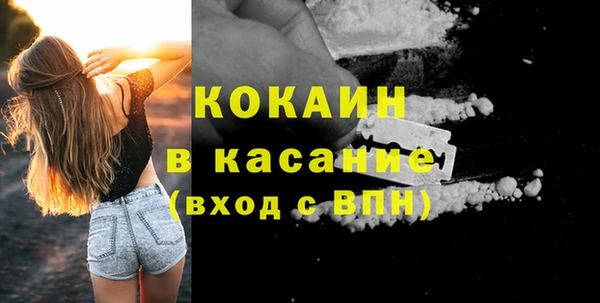 стаф Нея
