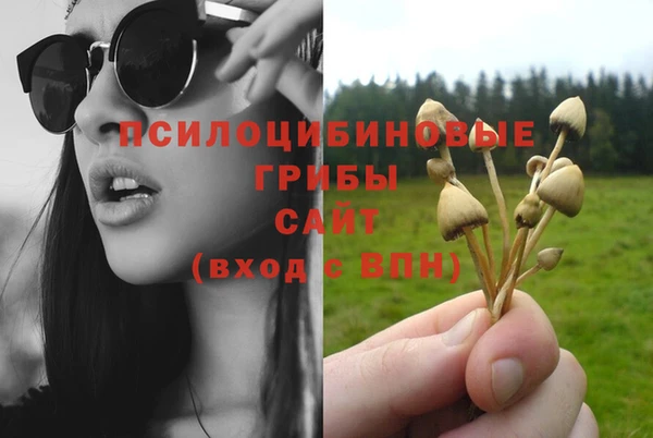 стаф Нея