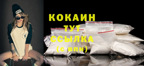 стаф Нея
