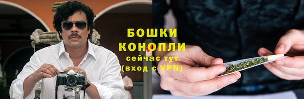 стаф Нея