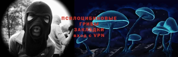 ГАЛЛЮЦИНОГЕННЫЕ ГРИБЫ Нефтекумск