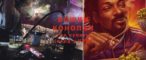 стаф Нея