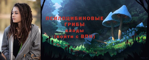 ГАЛЛЮЦИНОГЕННЫЕ ГРИБЫ Нефтекумск